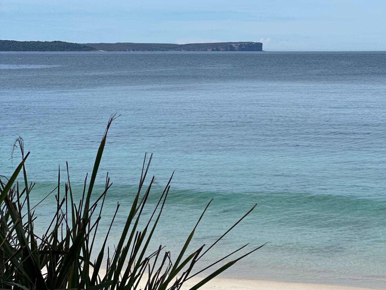 Jervis Bay is 40 minutes away 