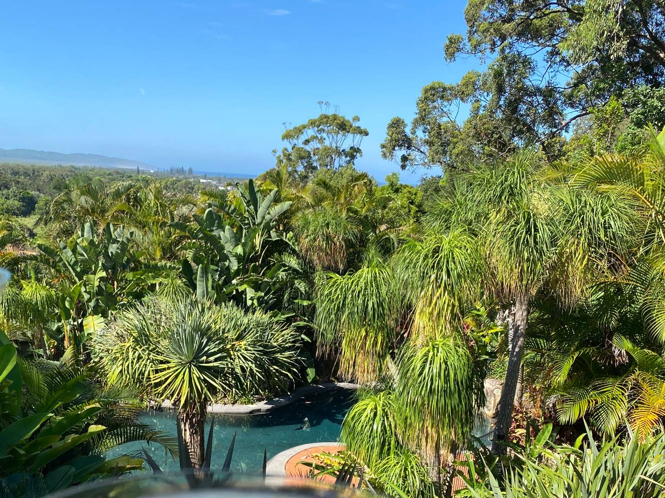 Tropical oasis pool & poolhouse