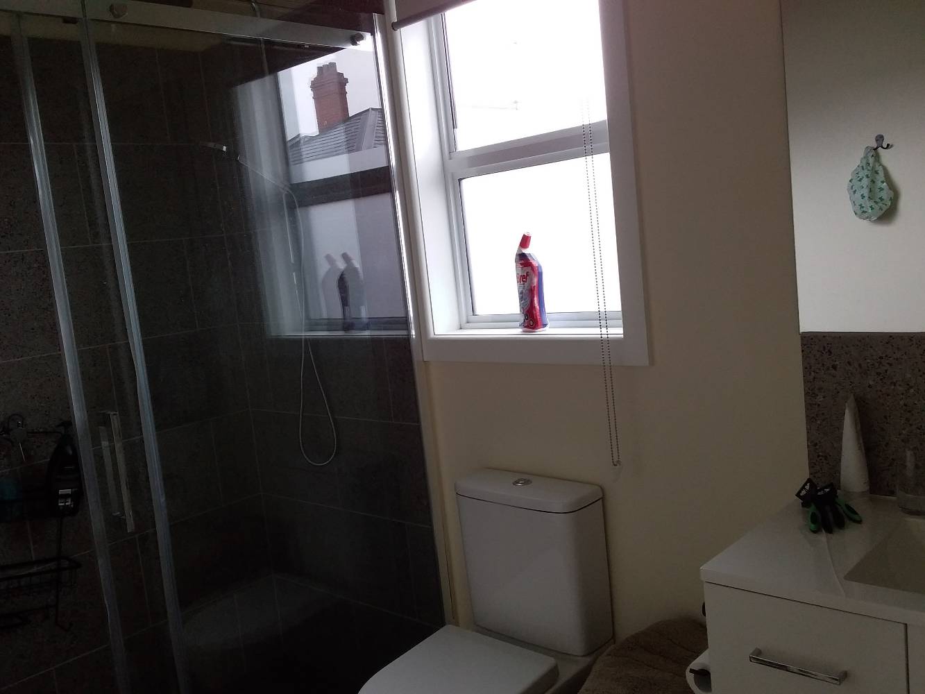 bathroom with rain shower, no bath