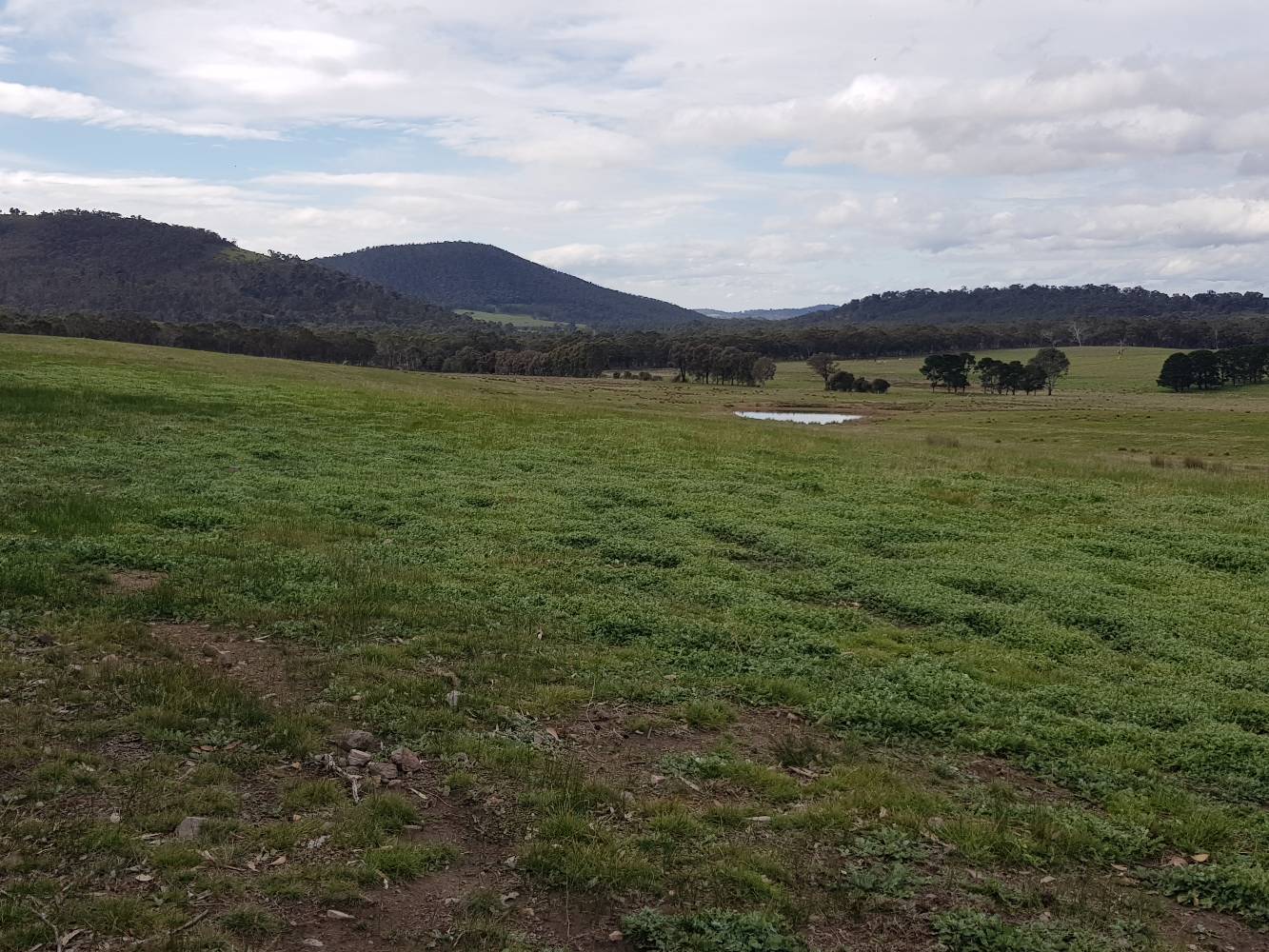 View from behind the house.