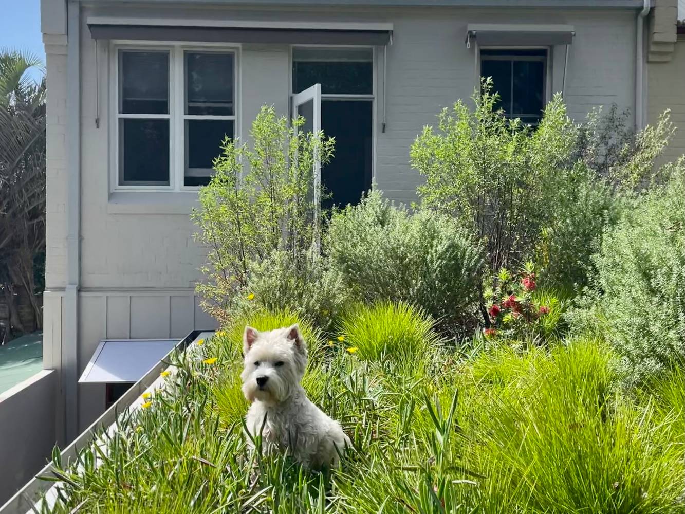 Green roof