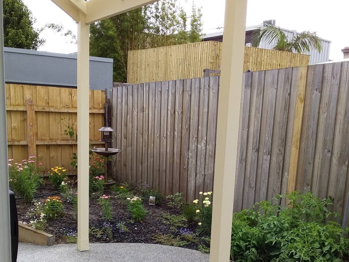 verandah and native garden