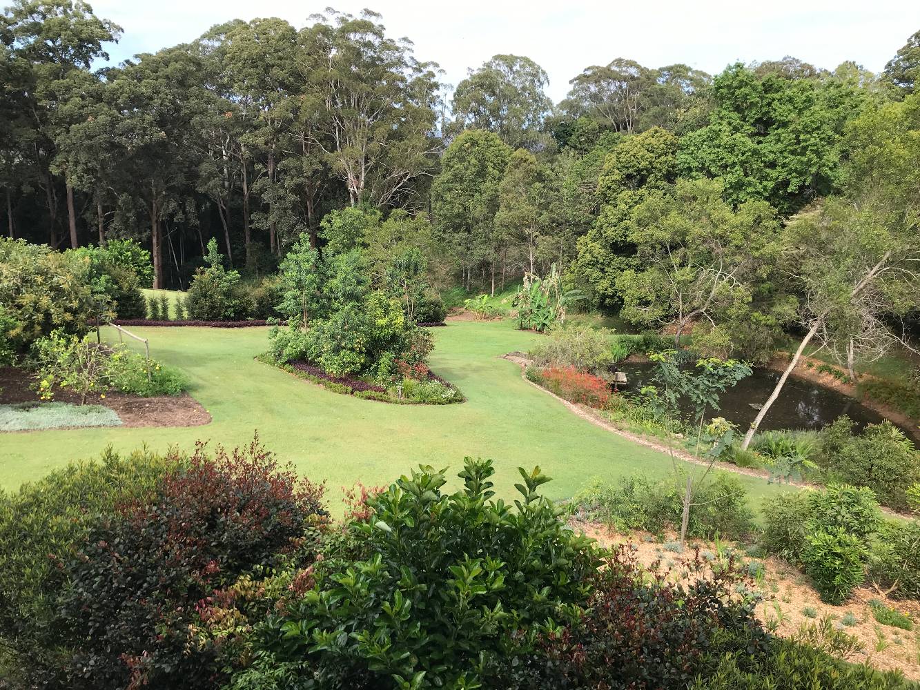 View from the back deck