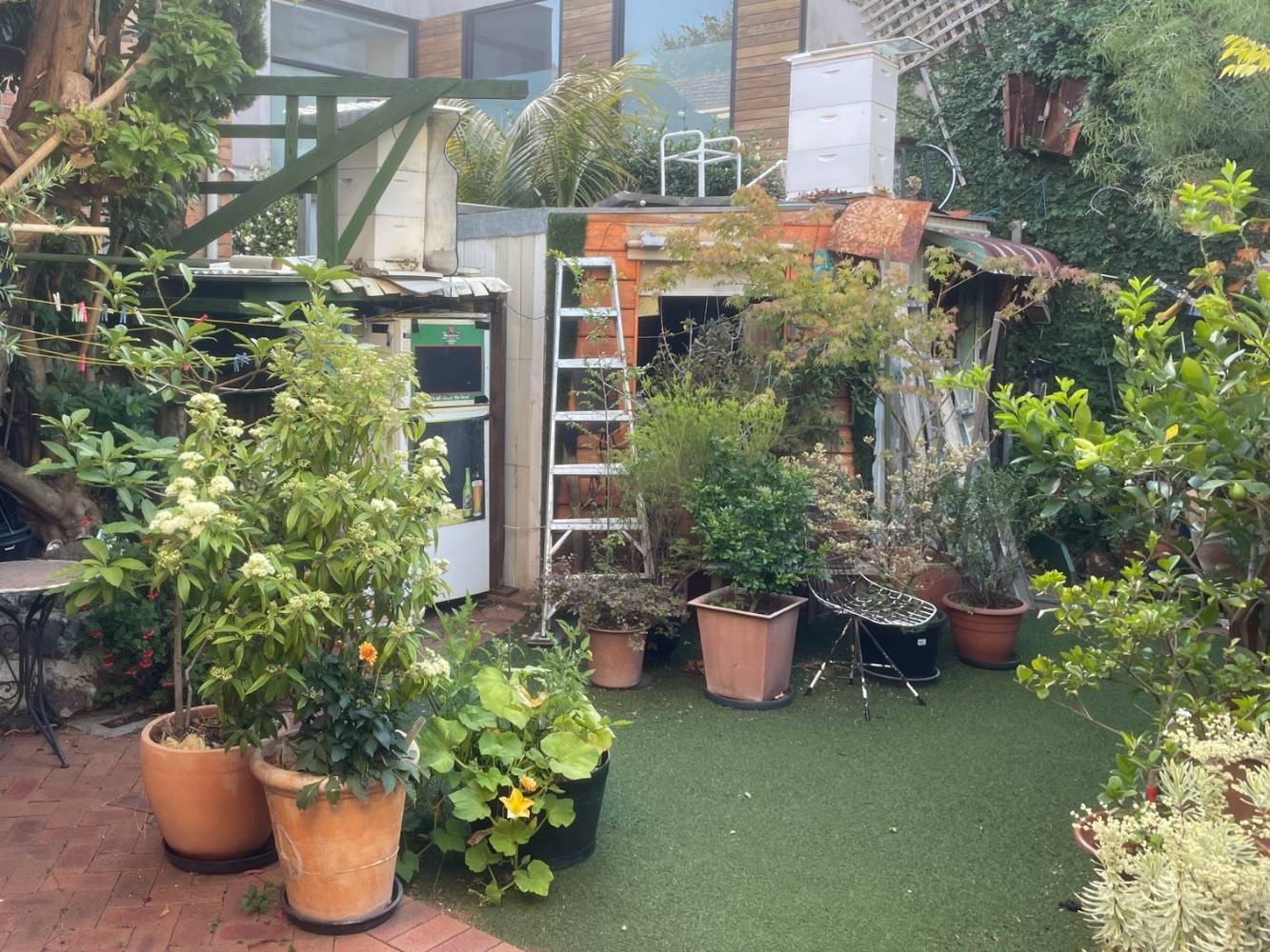 back garden and clothesline