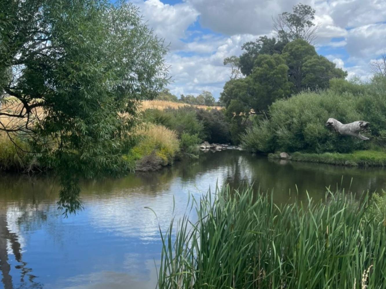 Liffey River on property