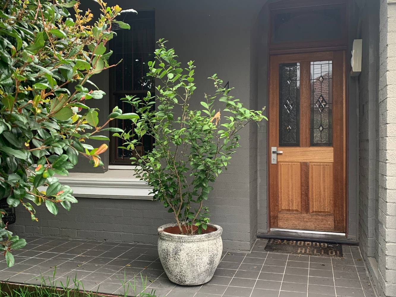 Leafy Entrance on very safe & friendly street where we know most of the neighbours