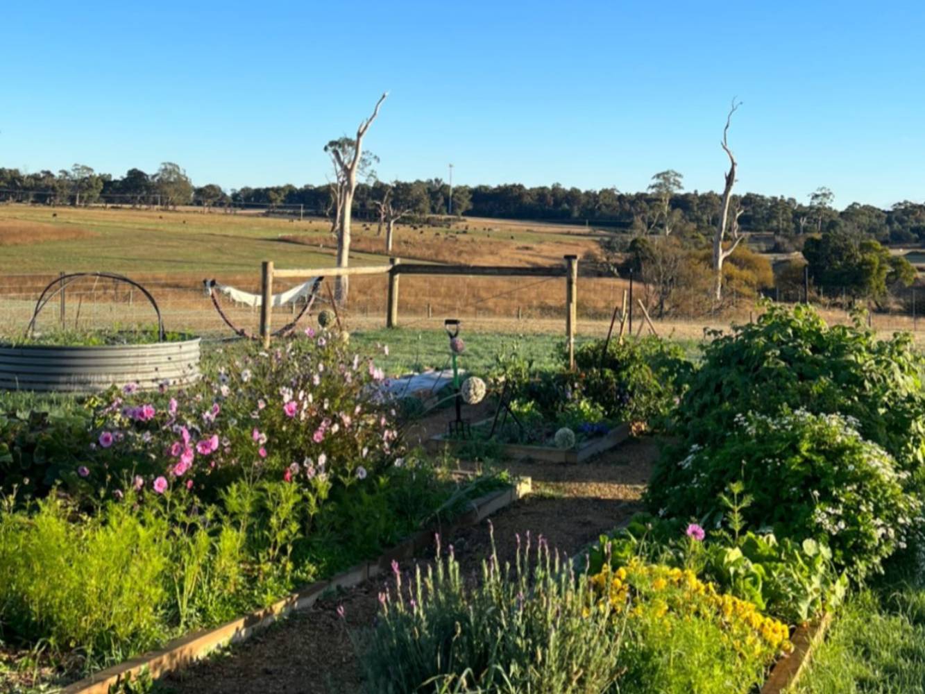 Kitchen garden