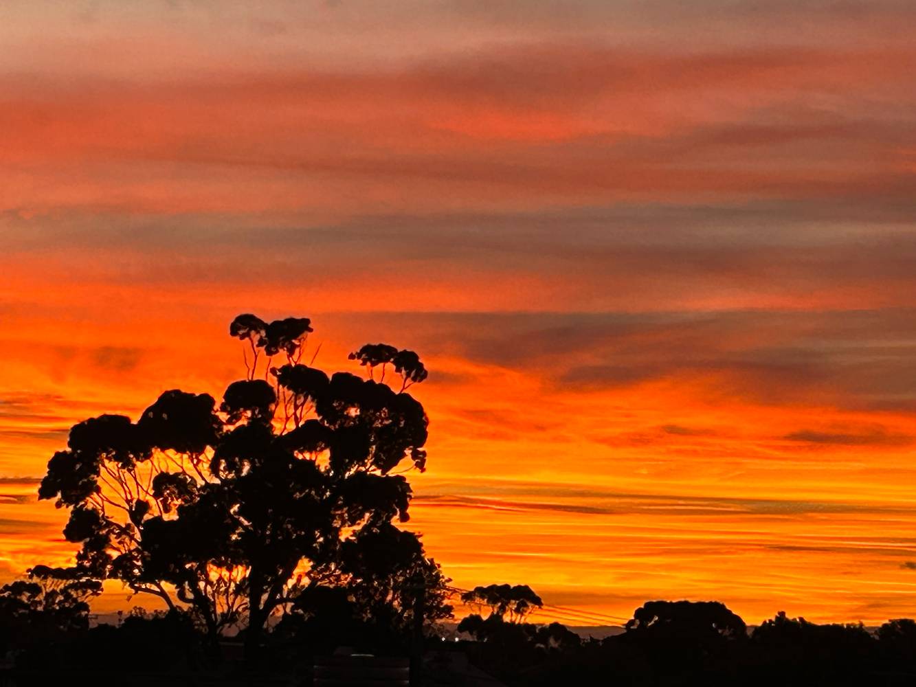 Sunset Views From Roof Terrace