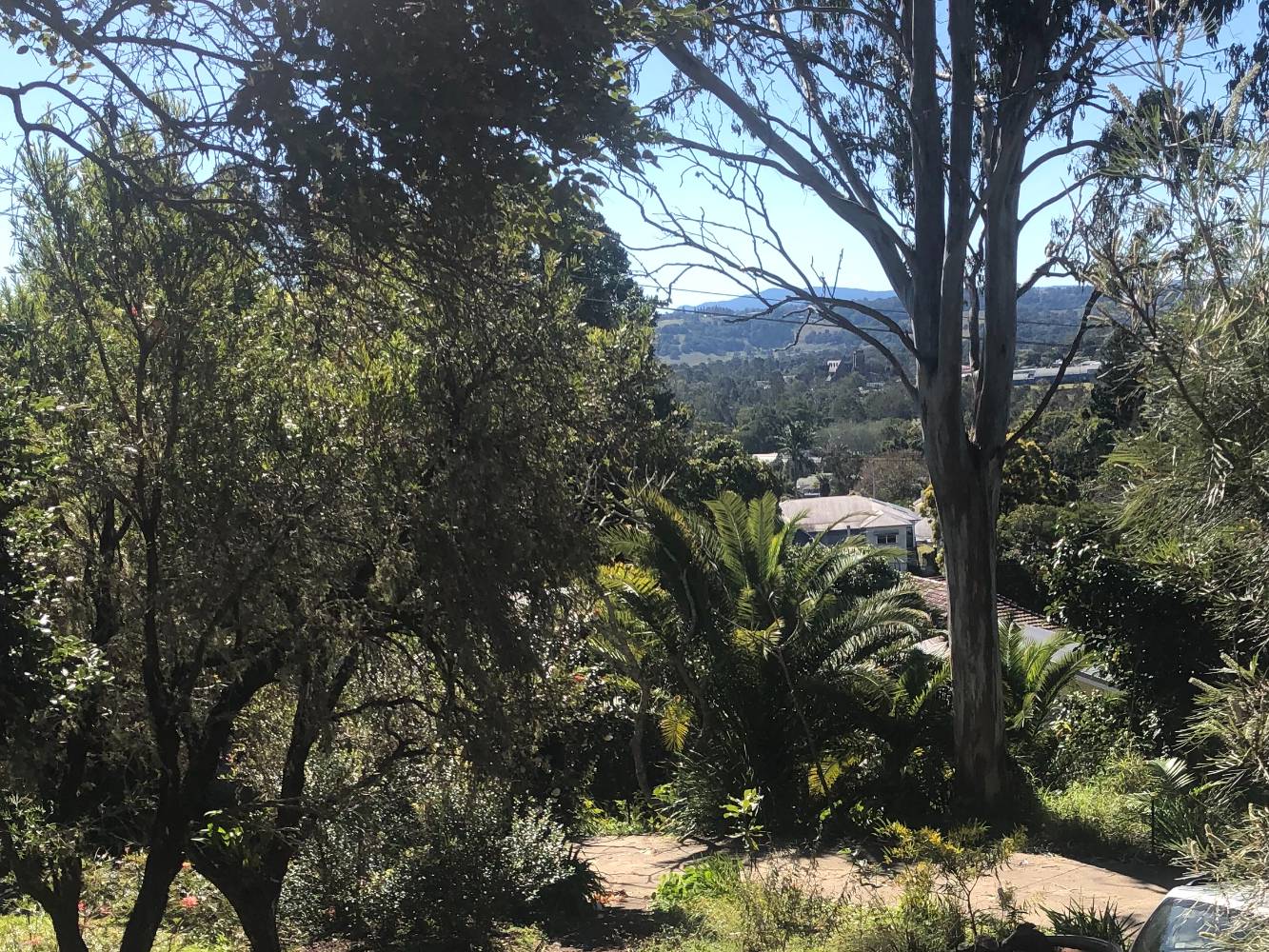 view from the front verandah