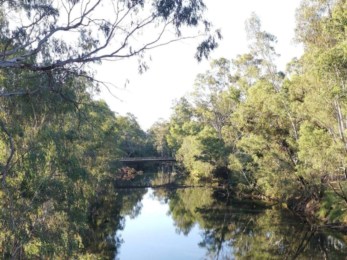 Ovens River walk