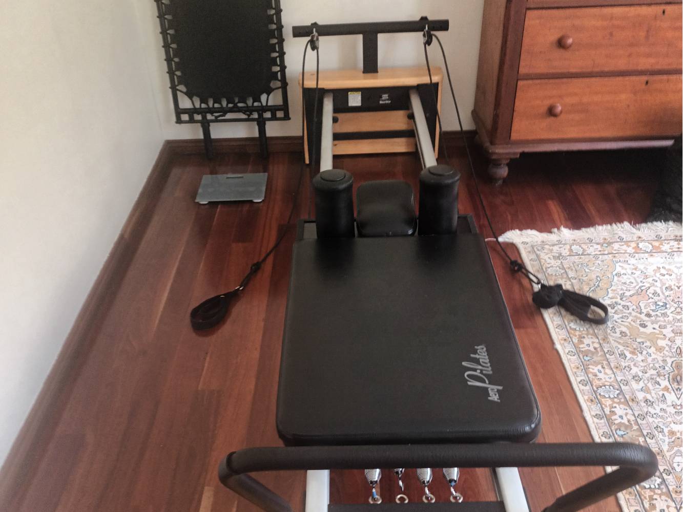 Mini gym