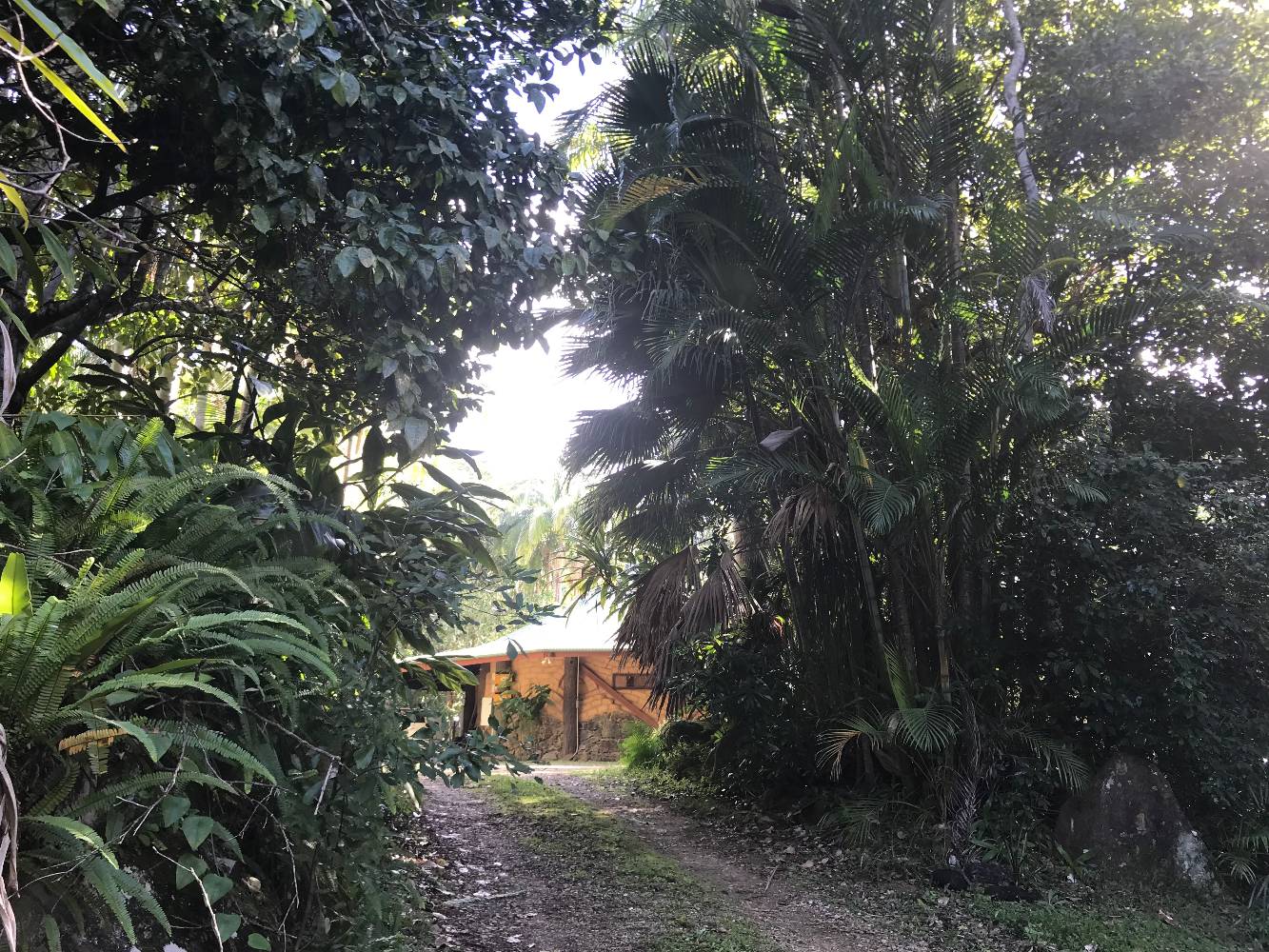 driveway view