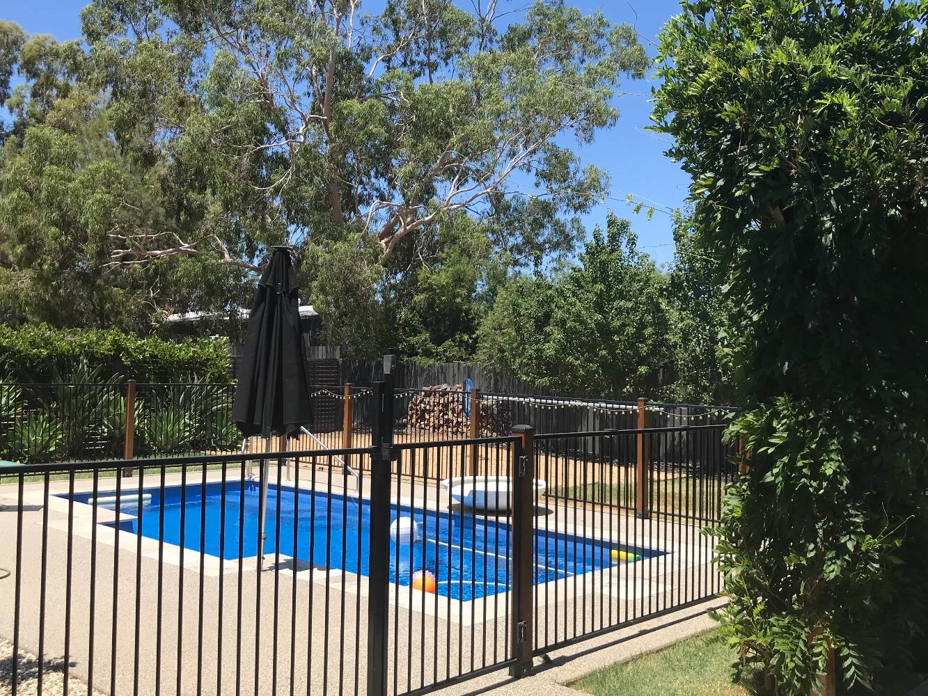 Back yard with Inground Swimming Pool