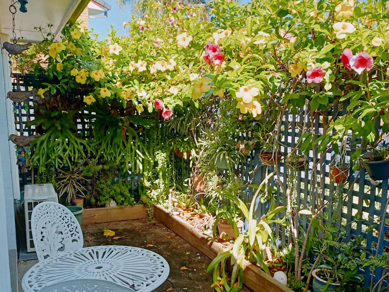 Front Courtyard beside Master Bedroom