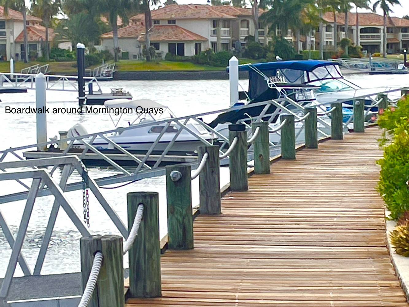 Boardwalk around the complex