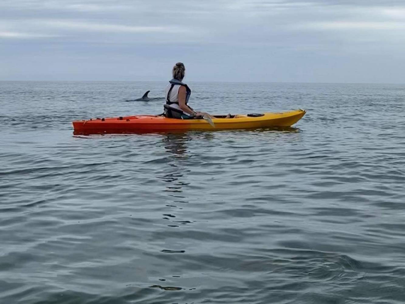 Paddling with local dolphins