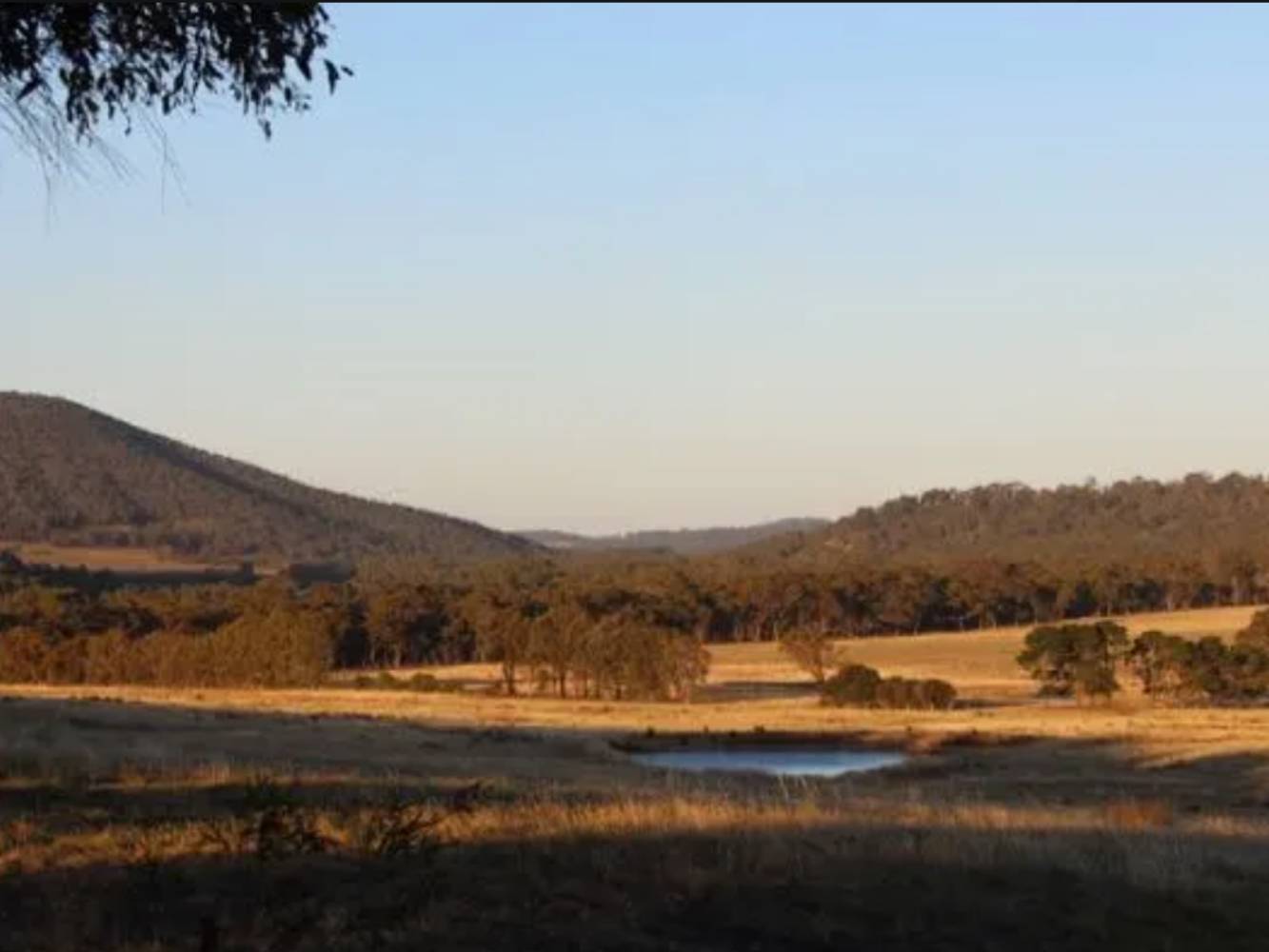 View of the eastern paddock