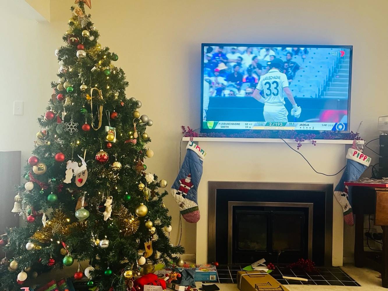 Xmas Tree and Summer Cricket