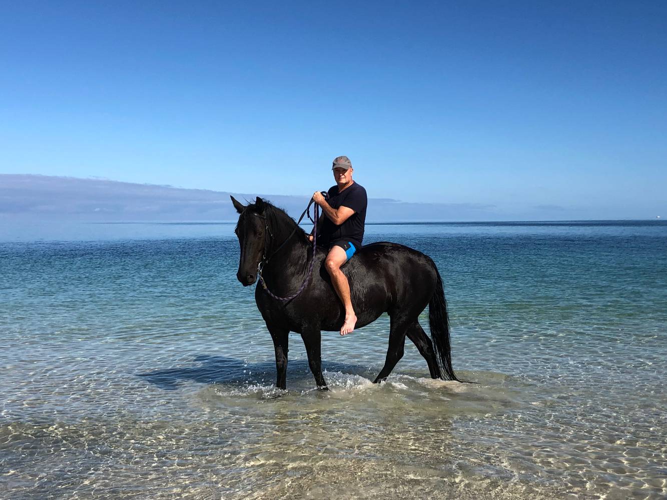 Horse riding Forrest Beach