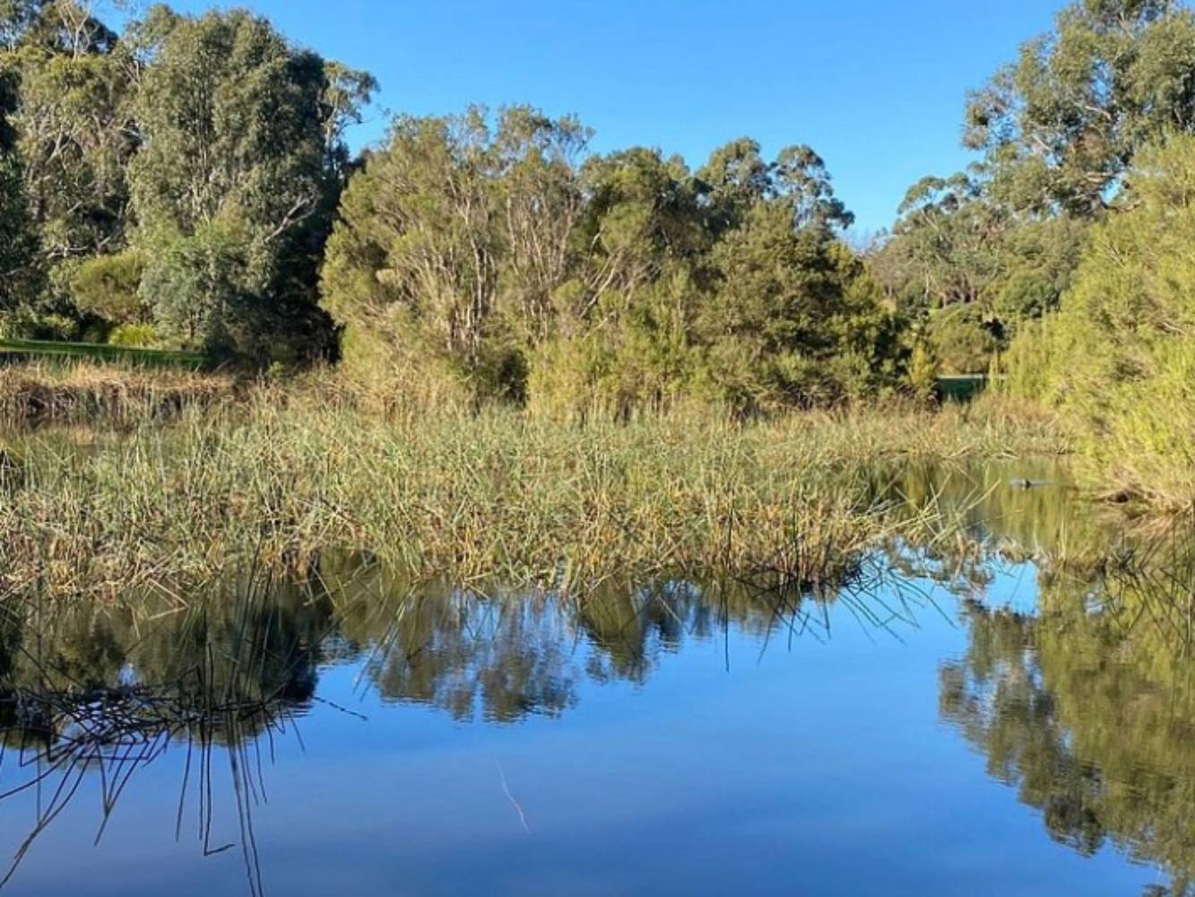 Elizabeth Bridge Reserve