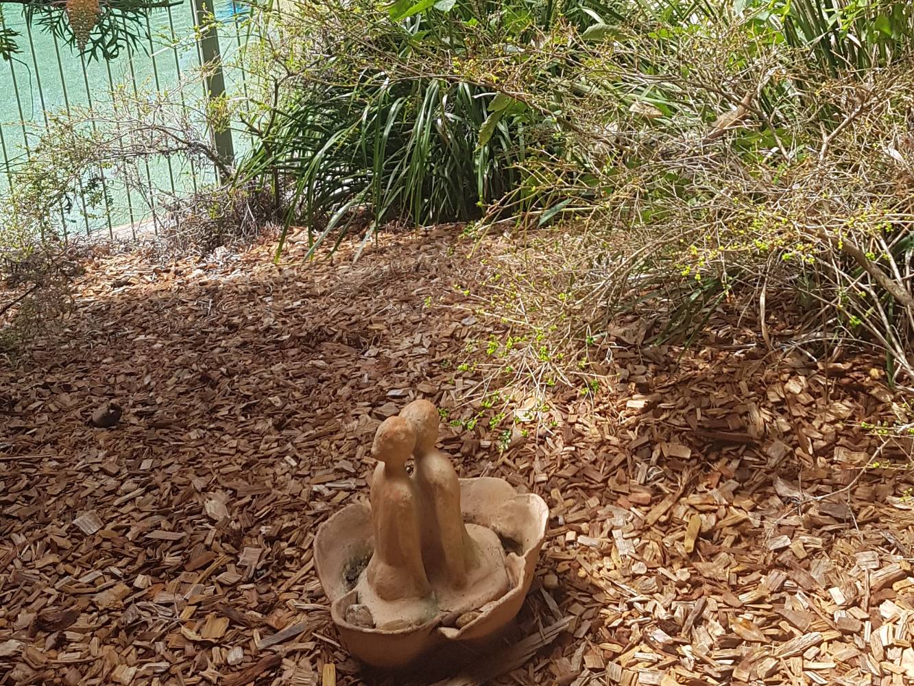 Mulched garden near house