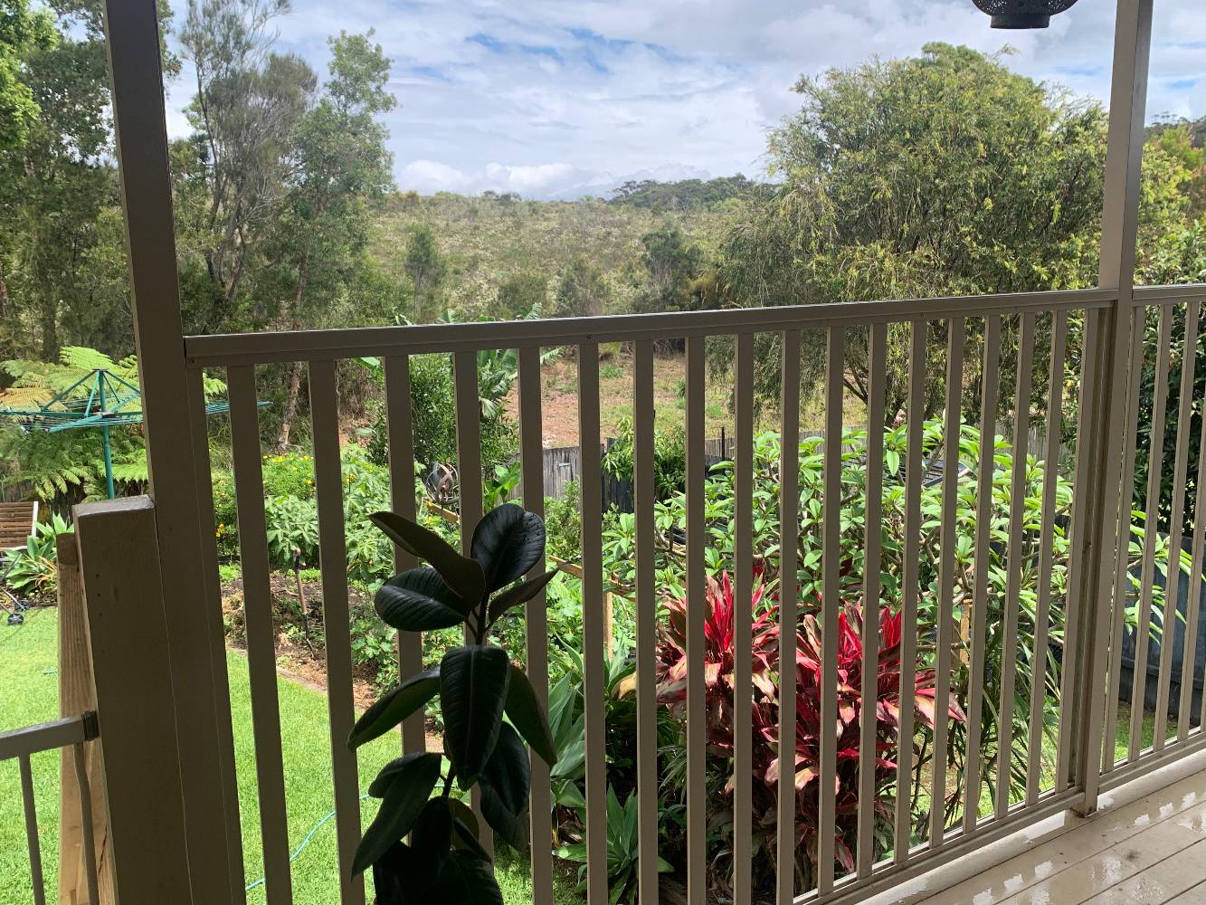 Deck overlooking backyard and bushland