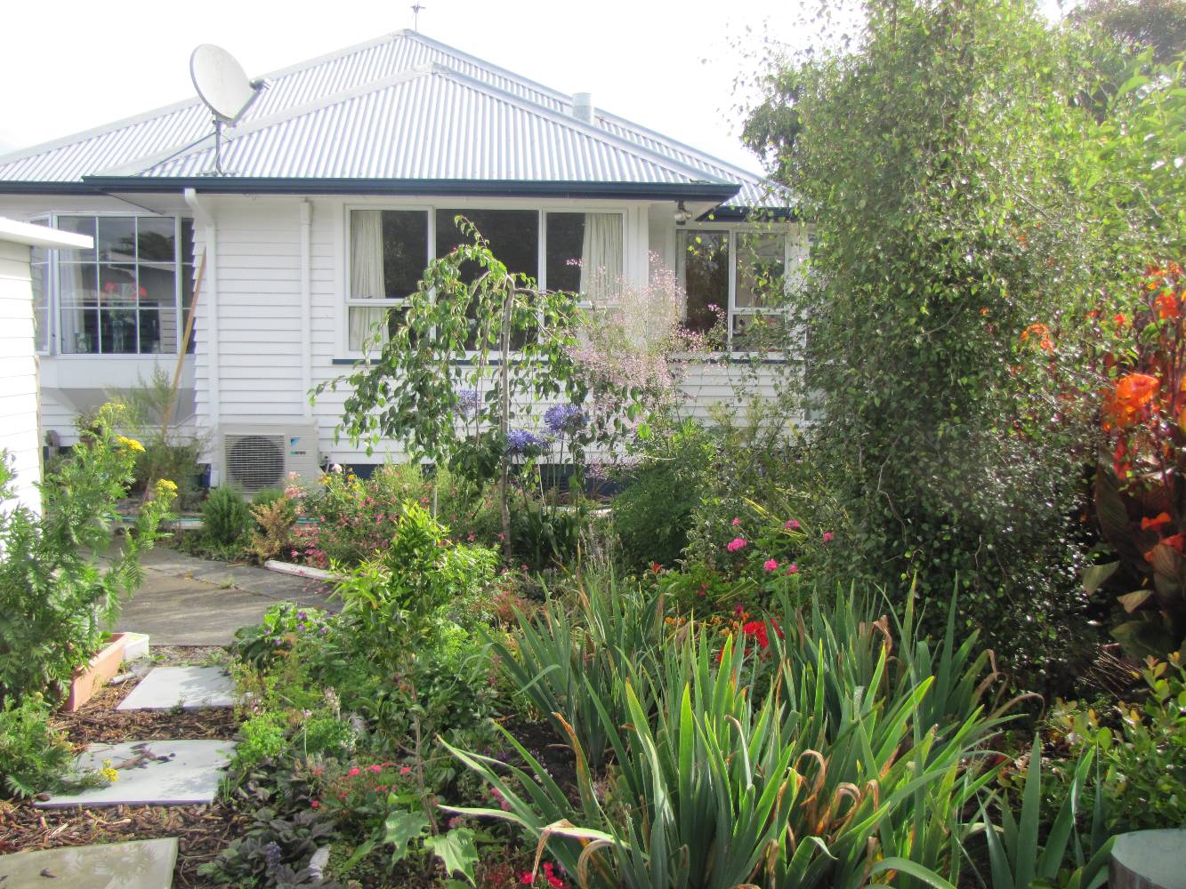 Napier New Zealand Housing