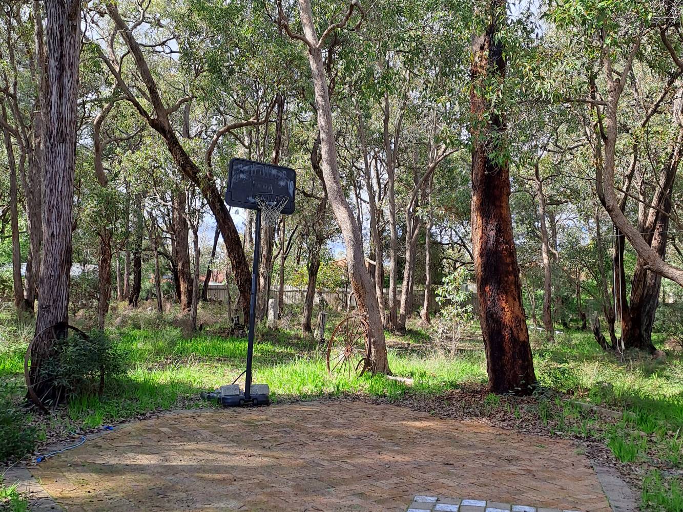 Basketball hoop and zipline